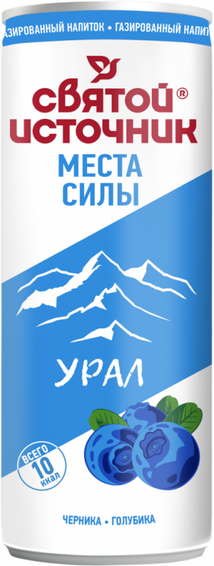 Вода питьевая СВЯТОЙ ИСТОЧНИК Места силы Урал с ароматом ирги, голубики и экстрактом черники газированный, 0.33л