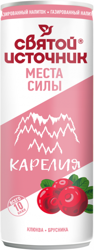 Вода питьевая СВЯТОЙ ИСТОЧНИК Места силы Карелия с ароматом клюквы, брусники газированный, 0.33л