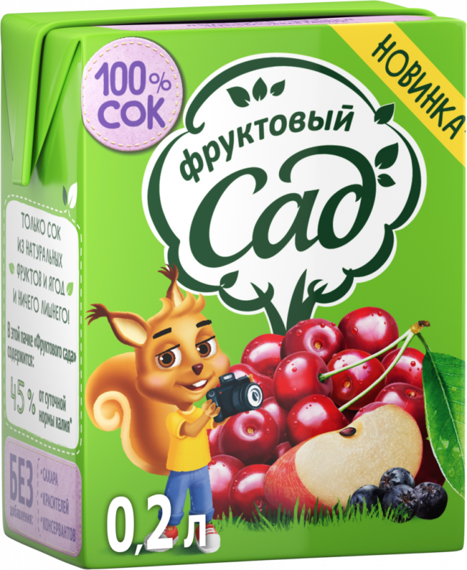 Сок ФРУКТОВЫЙ САД Яблоко, вишня, черноплодная рябина, 0.2л